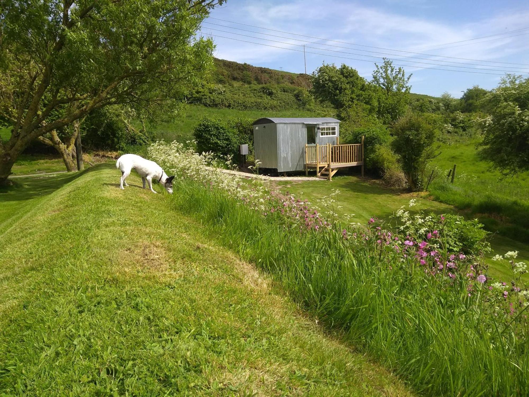 Shepherds Hut Weymouth Exteriér fotografie